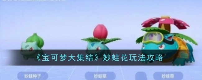 《宝可梦大集结》妙蛙花玩法攻略