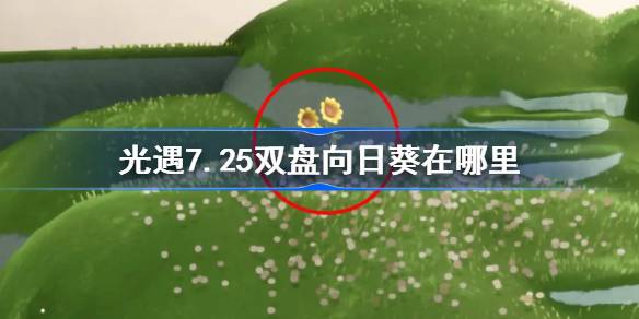 光遇7.25双盘向日葵在哪里 光遇7月25日代币位置