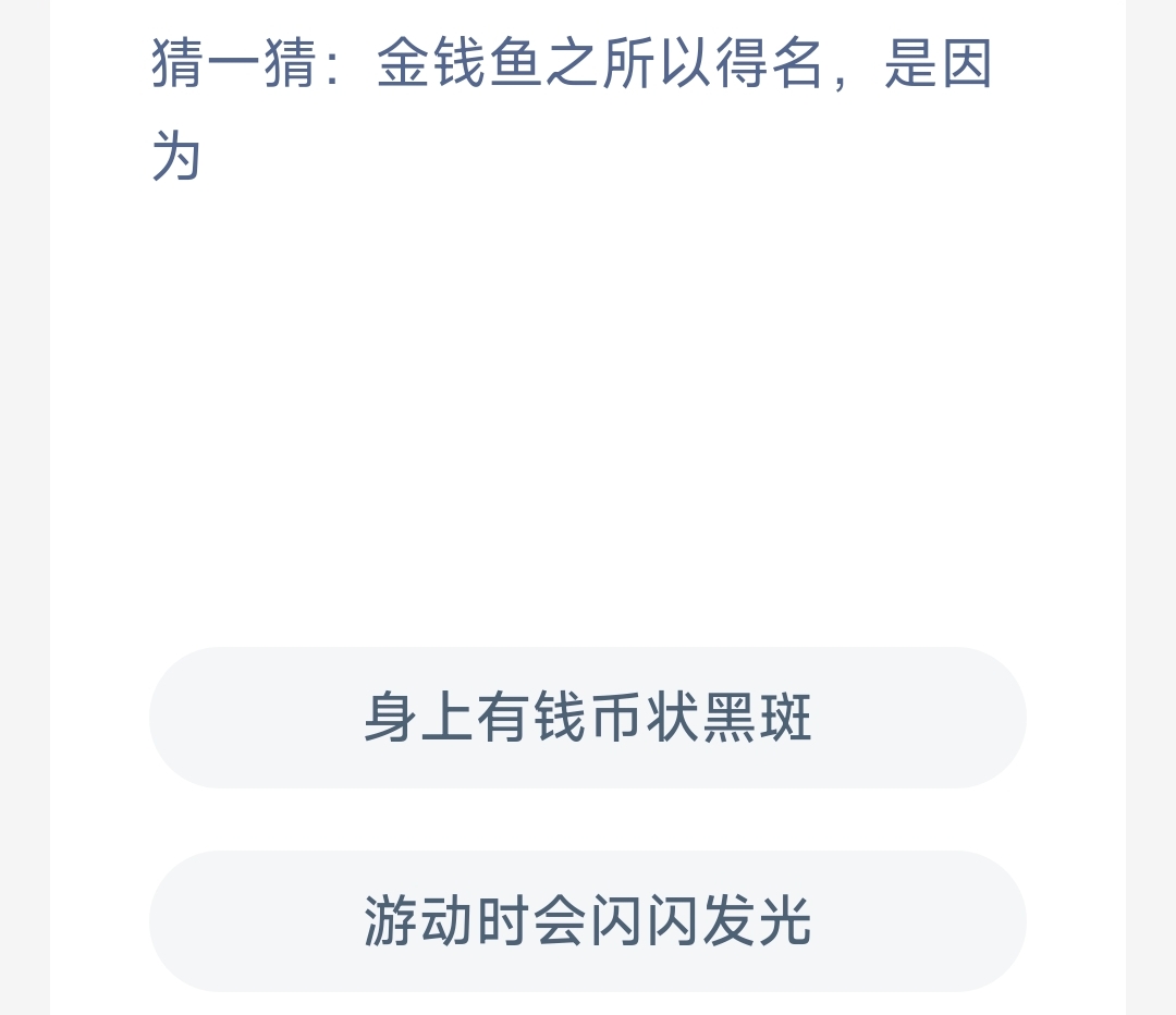 猜一猜:金钱鱼之所以得名是因为 最新神奇海洋答案12月26日